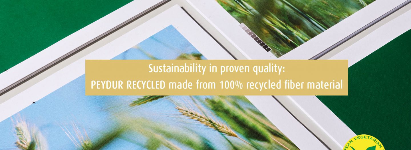 PEYDUR REC Header EN