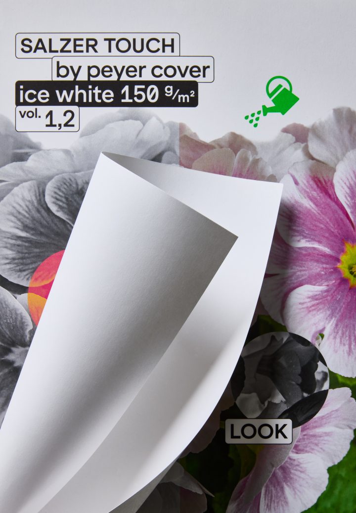 Salzer touch icewhite