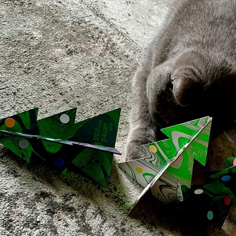 ESKA Weihnachtsbaum Dexter peyer cover